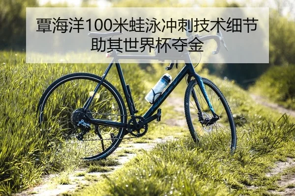 tan-hai-yang-mi-wa-yong-chong-ci-ji-shu-xi-jie-zhu-qi-shi-jie-bei-duo-jin-1-659.jpg